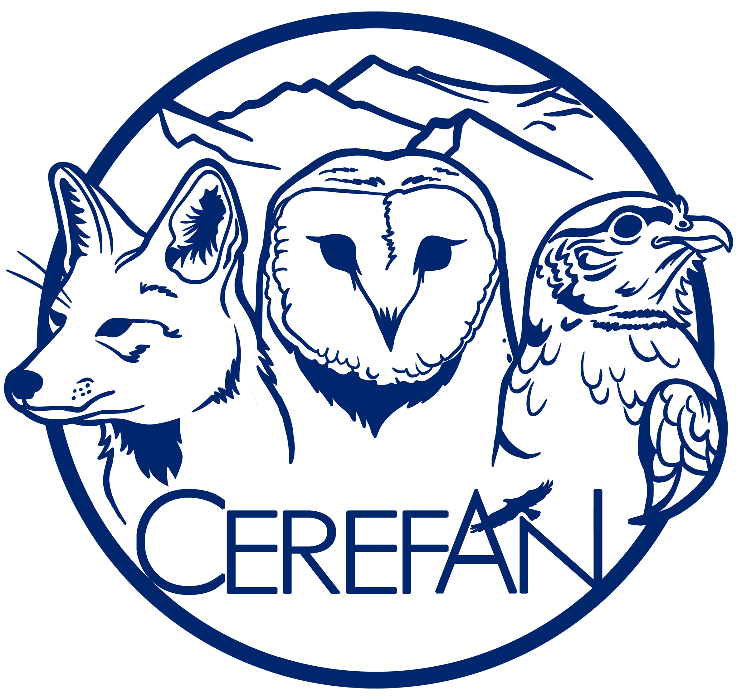 CEREFAN.ORG